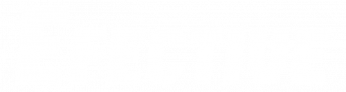 EFECTIVE main logo-white