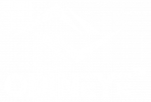 ODINEYE-logo-white-1